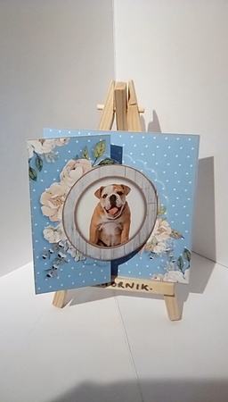 Pawsome Dogs Fold Back -2 by Susan Lapornik