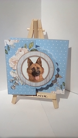 Pawsome Dogs Fold Back -6 by Susan Lapornik