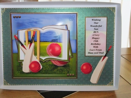 Cricket Open Book by Susan Lapornik
