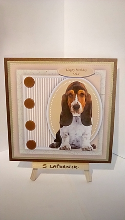 Beautiful Bassett Hound by Susan Lapornik