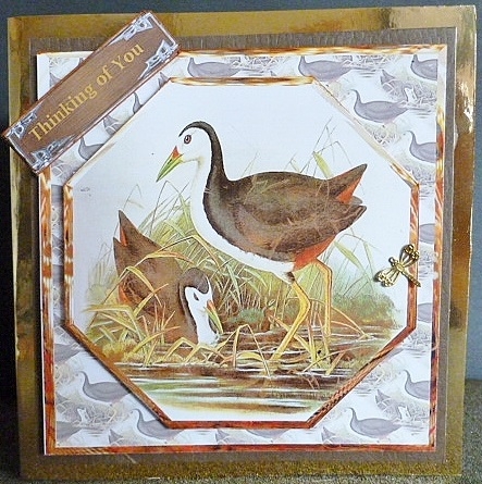 Wild Birds Enjoy the Water Card Front with Topper by Susan Powell-Barton