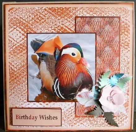 Birds of a Feather 1 by Susan Powell-Barton
