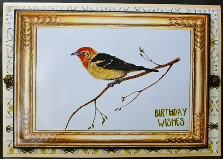 Topper Kit - Bird on Branch 2 by Susan Powell-Barton