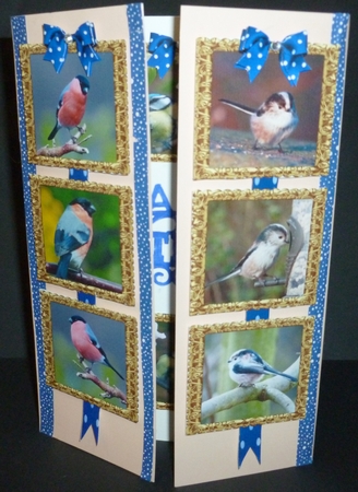 GARDEN BIRDS 1 PICTURE FRAME TOPPERS X 3 ANY OCCASION by Susan Powell-Barton