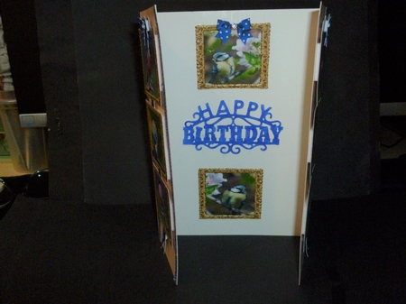 GARDEN BIRDS 1 PICTURE FRAME TOPPERS X 3 ANY OCCASION by Susan Powell-Barton