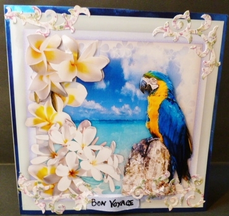 Beautiful Frangipani Flowers and Parrot  by Susan Powell-Barton
