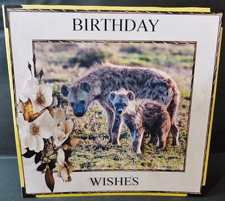 hyenas by Susan Powell-Barton