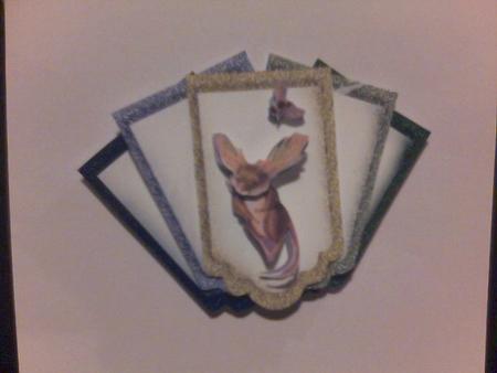 12 Double Layer Blank Tags Set 2 by Susan Powell-Barton