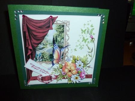 A View of the Garden Step by Step by Susan Powell-Barton