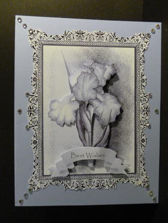 Beautiful Blue Iris by Susan Powell-Barton