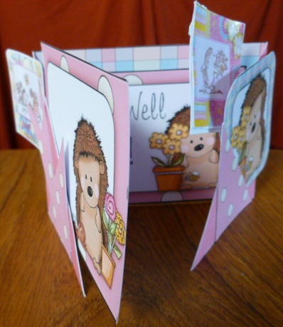 Criss Cross Pocket Sweet Hedgehog Get Well by Susan Powell-Barton