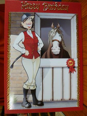 Horse Rider Lady Red A4 by Susan Powell-Barton