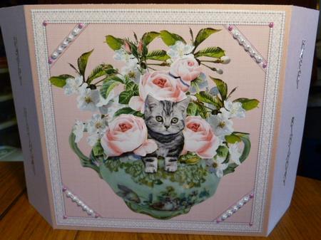 8x8 Pink Peonies and Cheeky Kitten by Susan Powell-Barton