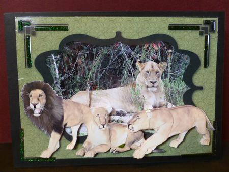 Africa - Lions by Susan Powell-Barton