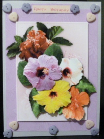 Hibiscus Card Mini Kit by Susan Powell-Barton