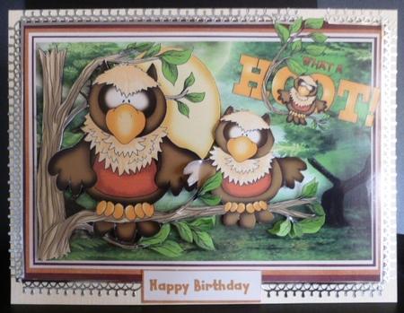 What a Hoot by Susan Powell-Barton