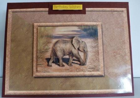 Baby Elephant Card Front by Susan Powell-Barton