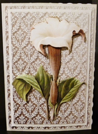Cream Flower Quick Card by Susan Powell-Barton