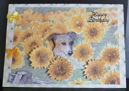 Dog Pretending to Be Just Another Sunflower by Susan Powell-Barton