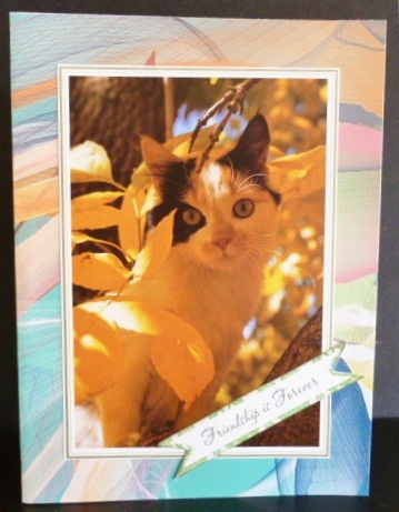 Green Retro Backing Sheet by Susan Powell-Barton