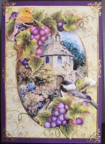 Birds & Grapes at the Dovecote + Extra Frame by Susan Powell-Barton
