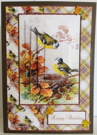 Beautiful Vintage Painted Birds A5 Quick Card by Susan Powell-Barton