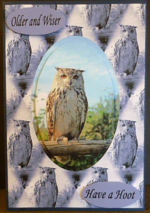 Wise Old Bird by Susan Powell-Barton