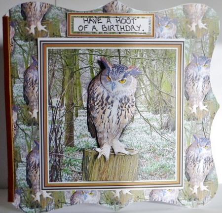 Eagle Owl 3D Decoupage with Background by Susan Powell-Barton