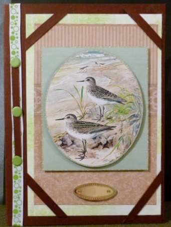 Seasonal Birds 11 by Susan Powell-Barton