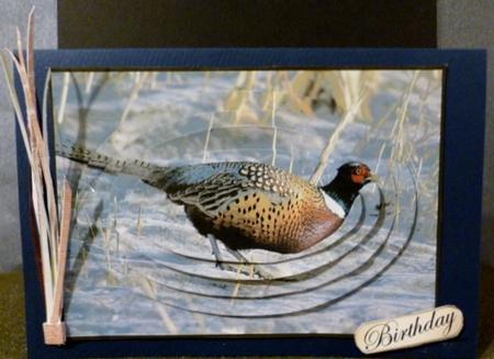 Ring-necked Pheasant Oval Pyramid by Susan Powell-Barton
