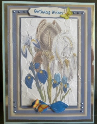 Lovely Irises on a Blue Frame  by Susan Powell-Barton