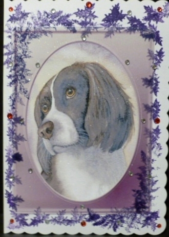 Spaniel by Susan Powell-Barton