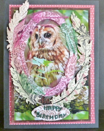 Tawny Owl A4 by Susan Powell-Barton
