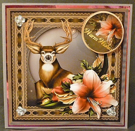Beautiful Ammaryllis by Susan Powell-Barton
