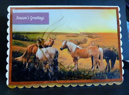 Horses at Sunset Splendid Pyramid by Susan Powell-Barton