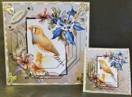Zebra Finch and Flowers Pyramid Mini Kit by Susan Powell-Barton