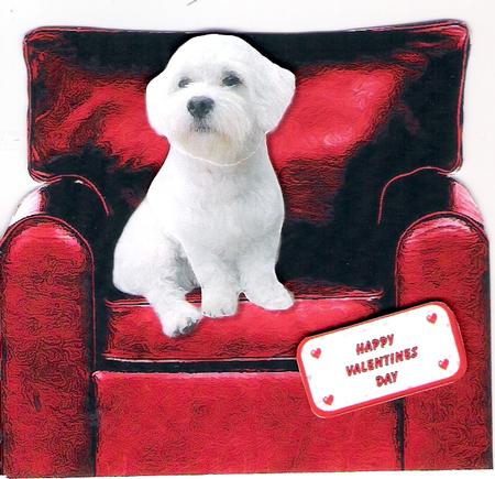 Westie x Bichon Valentine Hearts Chair 3D Decoupage by Susan Rapin