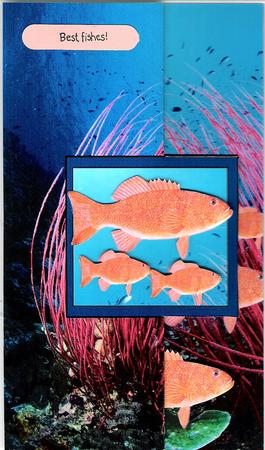 Foldback Card Coral Trout by Susan Rapin