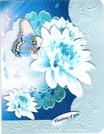 Blue Dahlia Greetings Featured Gallery Photo