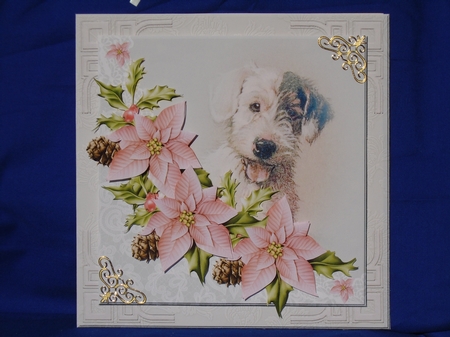 Dog and Poinsettias by Susan Smith