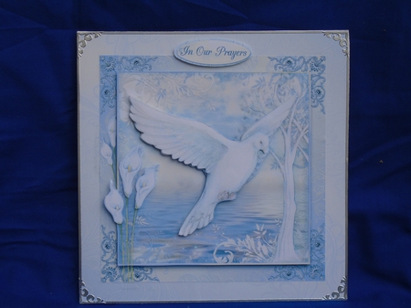 The Dove by Susan Smith