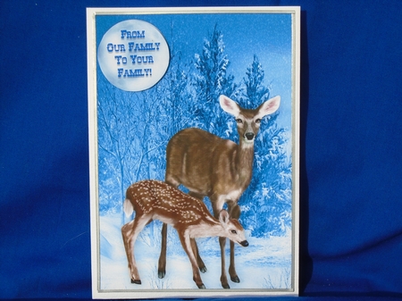 Christmas Deer - 5 x 7 Card Topper & Assorted Greetings - PU 300 DPI by Susan Smith