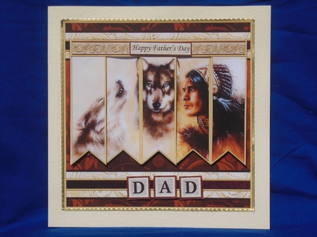 AMERICAN INDIAN & WOLVES 7.5 Alphabet and Age Quick Card Kit by Susan Smith