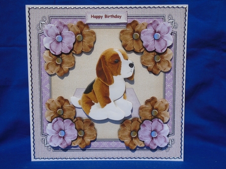 I Love My Dog Mini Kit by Susan Smith
