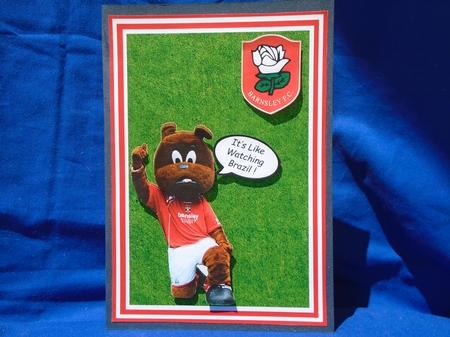 Football - Barnsley by Susan Smith