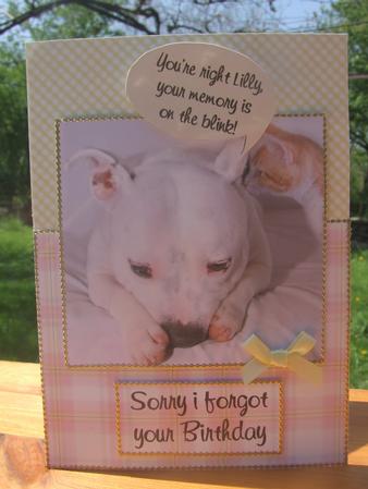 Belated Birthday / Age Related Birthday by Susan Smith