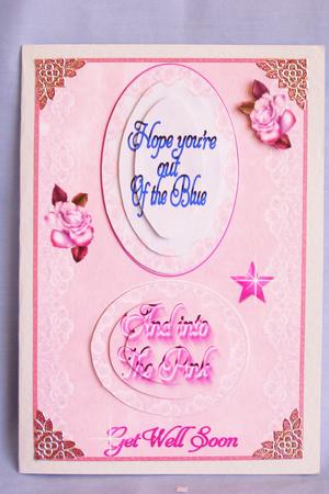 In the Pink by Susan Smith