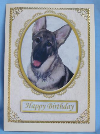 German Shepherd Various Occasion Card Front by Susan Smith