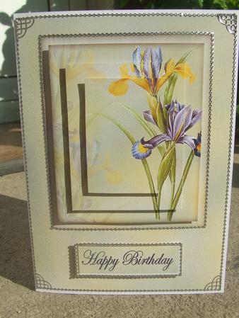 Yellow and Blue Iris by Susan Smith
