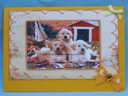 Autumn Puppies Card Front by Susan Smith